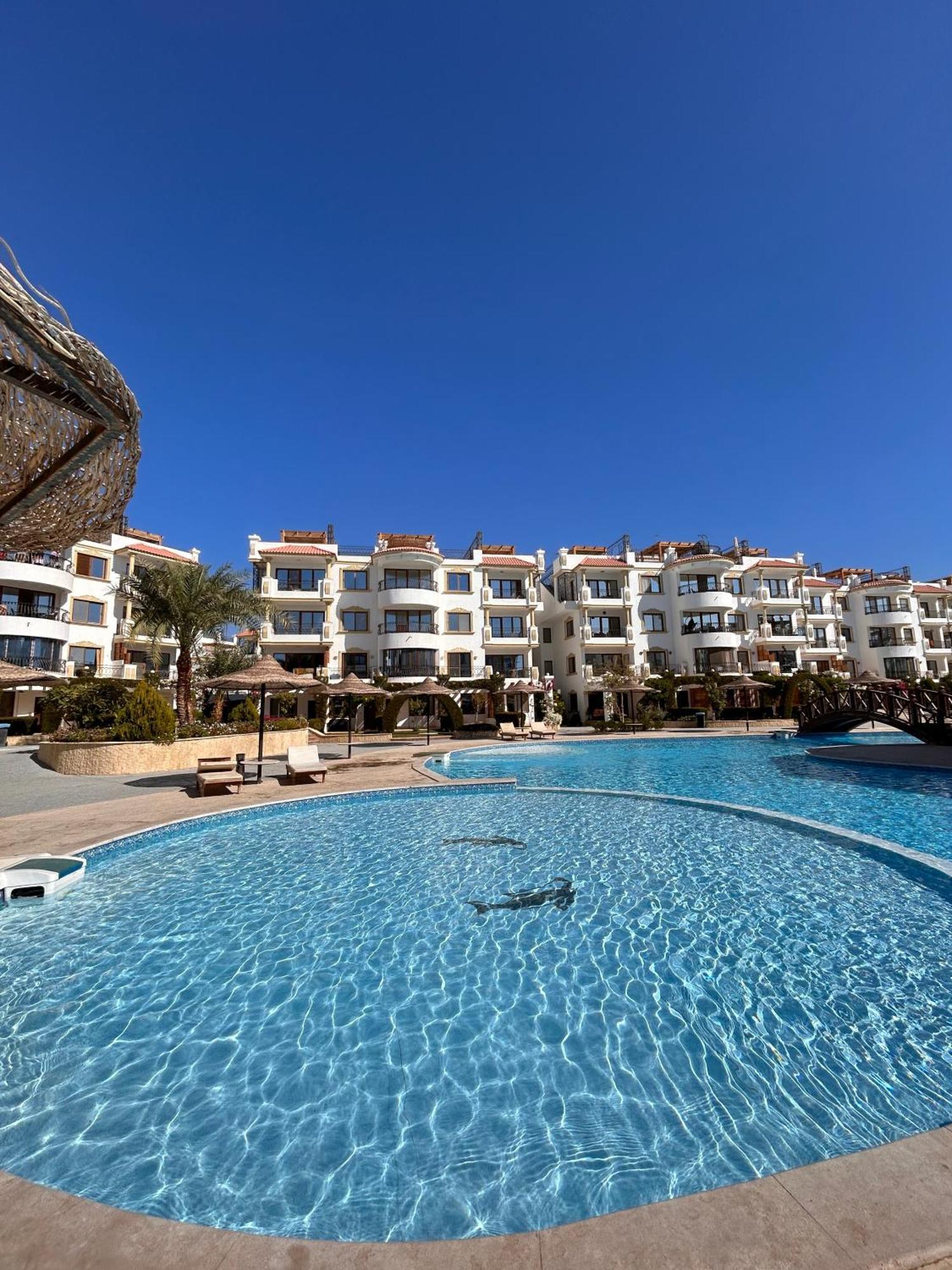 Cosy Studio On The First Floor With Lovely Terrace And Personal Garden Area, Pool View And Free Beach Access In Sharm Hills Resort Exterior foto